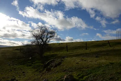 DSC_1033 (Large).JPG